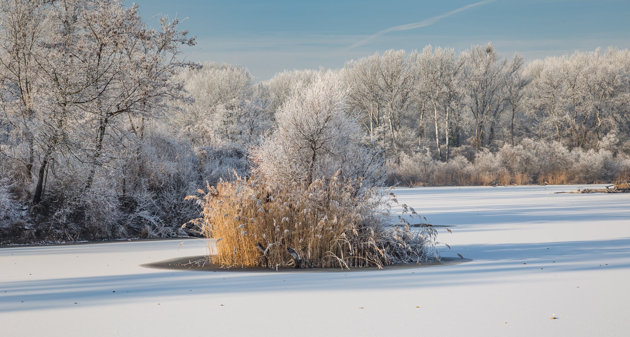 Dechantlacke - Lobau Wien